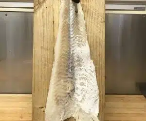 Blog Feast of the 7 Fishes