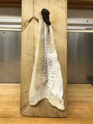 Feast of the 7 Fishes