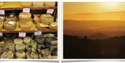 Blog Looking forward the passage to springtime