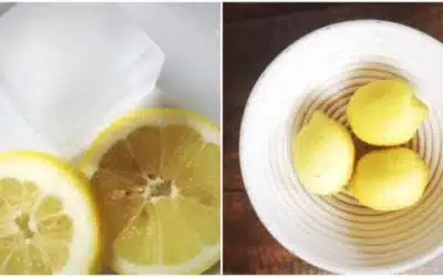 Blog When Summer Gives You Lemons…